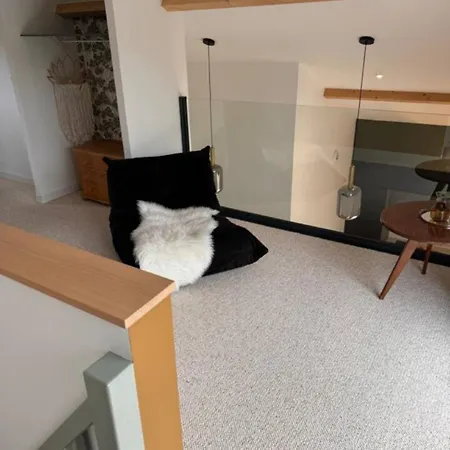 Apartmán Le Griffon Caluire-et-Cuire